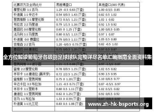 全方位解读葡萄牙各级别足球球队完整详尽名单汇编指南全面资料集 全方位解读葡萄牙各级别足球球队完整详尽名单汇编指南全面资料集